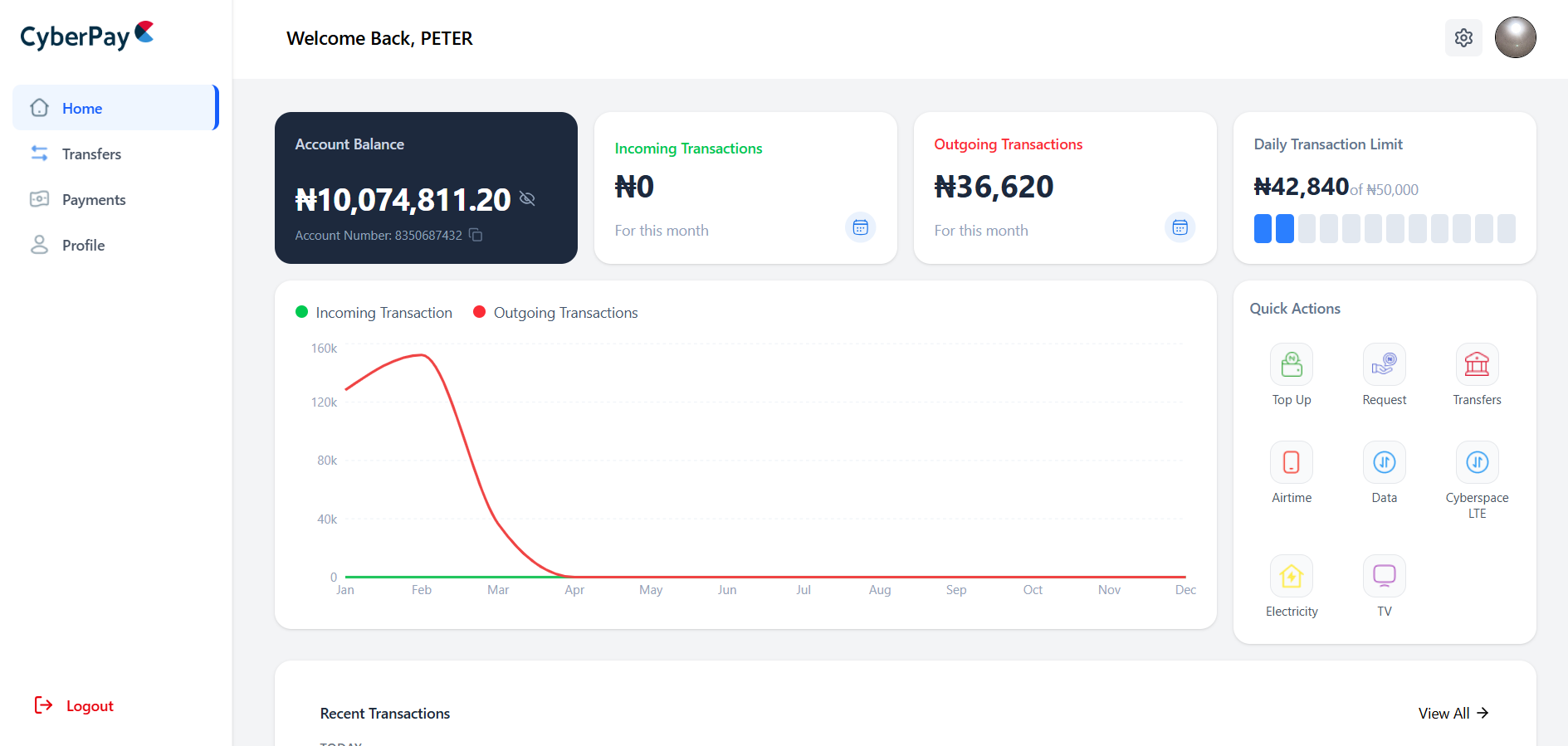 CyberPay Web App